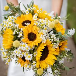 Jenny Barker The Flower Doctor