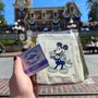 Photo of Celebrating Disney100 at the Disneyland Resort Guided Tour