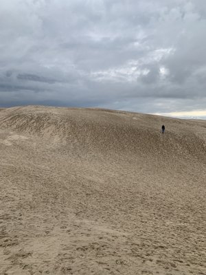 Råbjerg Mile by null