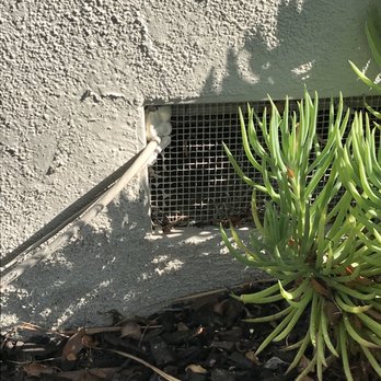 American Structural Pest Control West - Sealed an opening - Pest Control Near Me - Torrance, California American Structural Pest Control West - Sealed an opening - Pest Control Near Me - Torrance, California