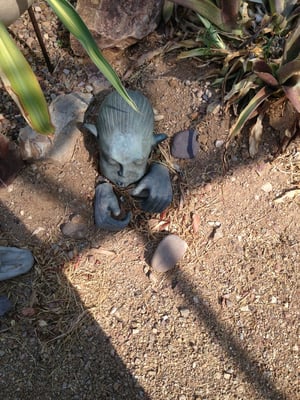 Civano Nursery - Retail Location by null