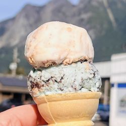 Friends & Co Ice Cream - Smores and Cookie Monster- mini cone split