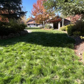 Authentic Landscape - After - Landscaping Near Me - Sacramento, California Authentic Landscape - After - Landscaping Near Me - Sacramento, California