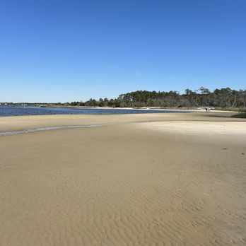 Carolina Beach State Park - View on trail - Parks Near Me - Carolina Beach, North Carolina Carolina Beach State Park - View on trail - Parks Near Me - Carolina Beach, North Carolina
