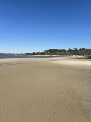 Carolina Beach State Park by null