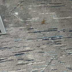 Holiday Inn Express & Suites Smithfield - Selma I-95 - And more....stains....