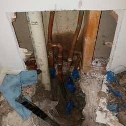 Premier Rooter Plumbing and Drain Services