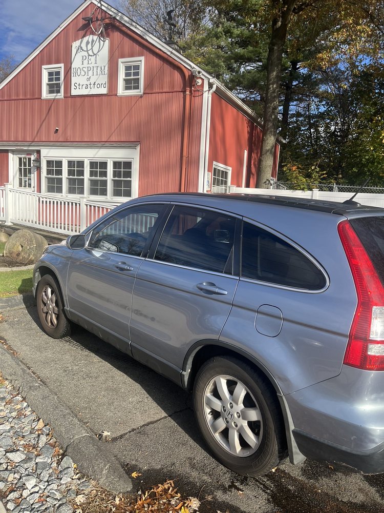 THE PET HOSPITAL OF STRATFORD Updated October 2024 23 Photos & 11