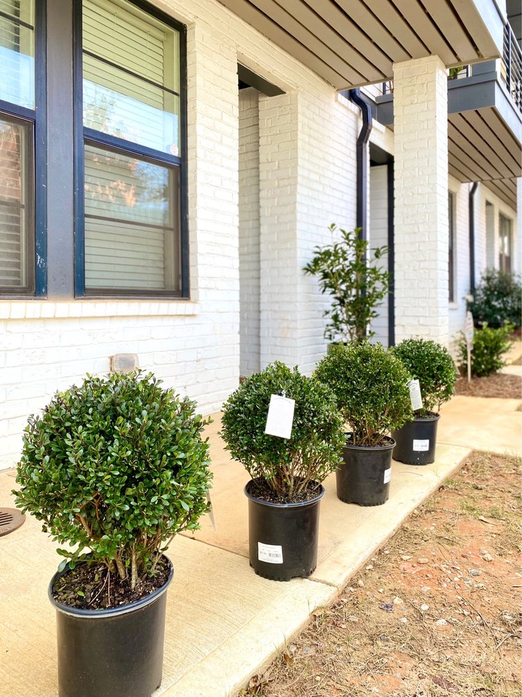 PIKE NURSERIES Updated September 2024 49 Photos & 67 Reviews 2101