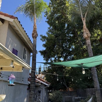 Off Czn Tree Experts - Tree Services Near Me