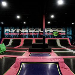 Flying Squirrel