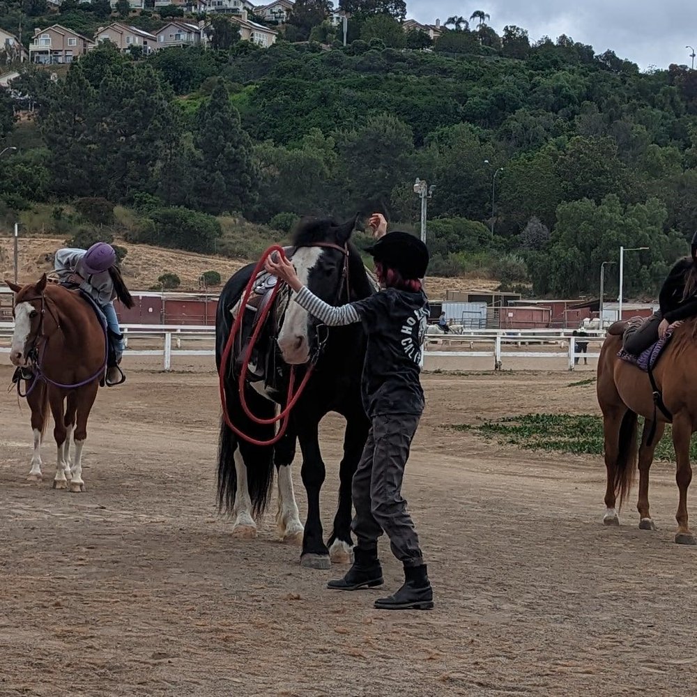 Horsebound - equestrian in San Diego, CA