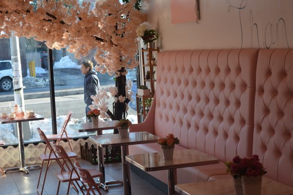 Sweet Cats Cafe by null