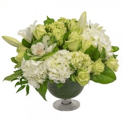 Johnson's Florist & Garden Centers - White and Green Elegance