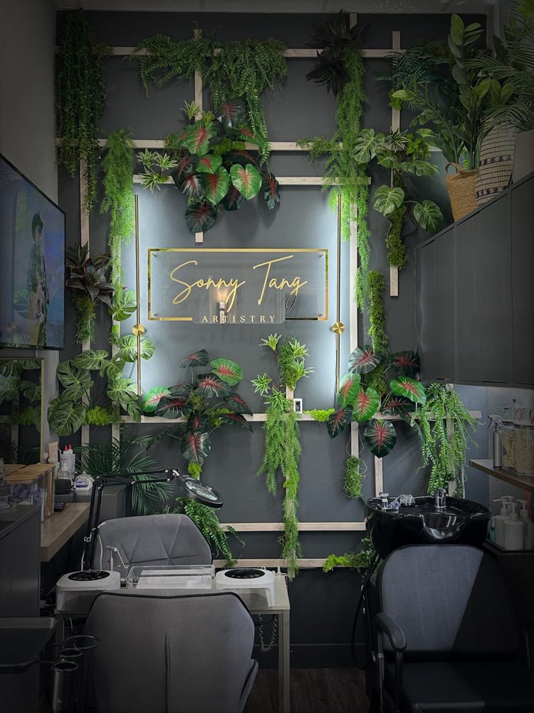 Sonny Tang Artistry