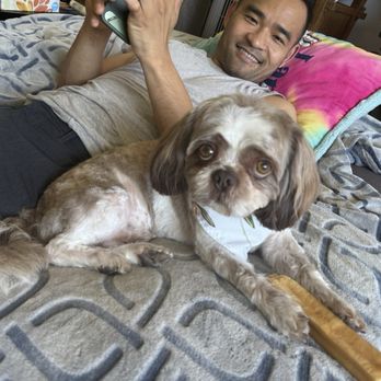 Lafleur Pet Grooming - Pet Groomers Near Me - Oakland, California