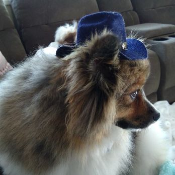 Gel Nails - My 20# Male Pom. Snickers 7 - Nail Salons Near Me - Fort Atkinson, Wisconsin Gel Nails - My 20# Male Pom. Snickers 7 - Nail Salons Near Me - Fort Atkinson, Wisconsin