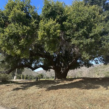 1. Oak Canyon Dog Park