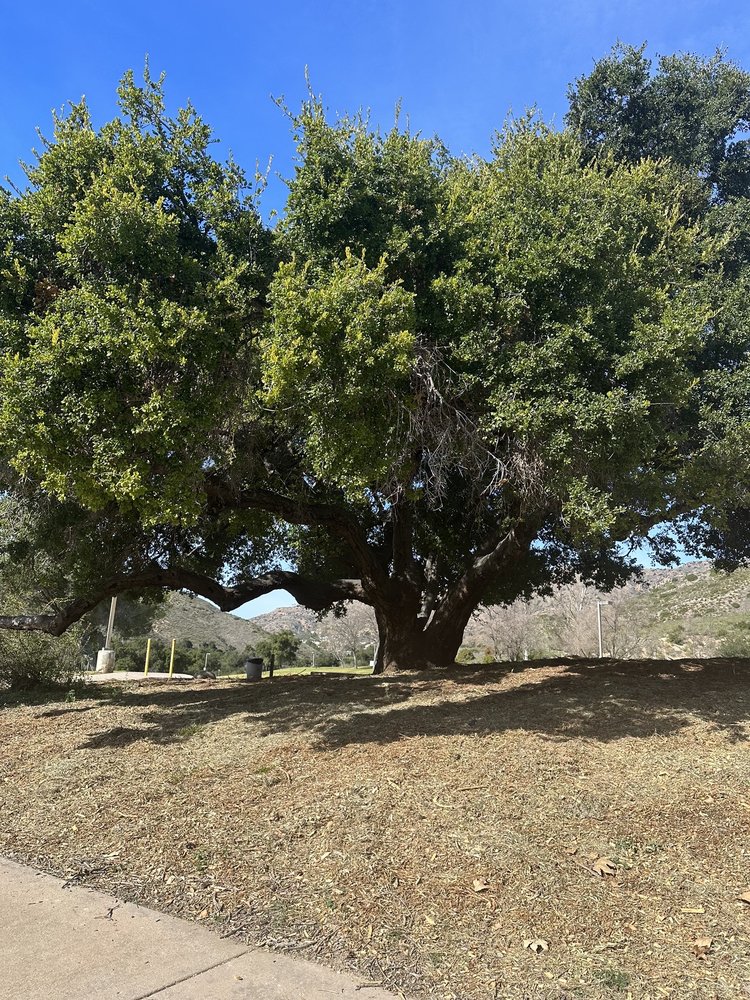 Oak Canyon Dog Park Logo