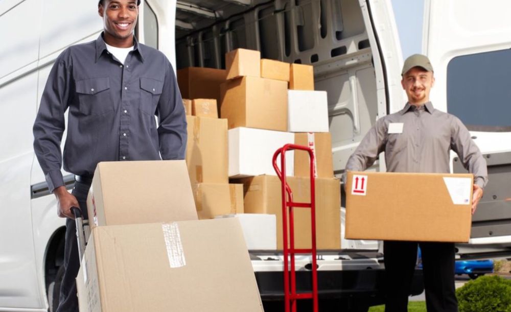 BEST MOVE OF WOODBRIDGE Updated May 2024 15 Photos Woodbridge