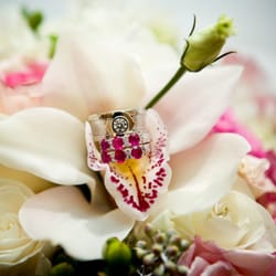 Choice Flowers