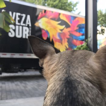 Casa La Rubia - There's self serve water for humans and k9s - Breweries Near Me - Miami, Florida Casa La Rubia - There's self serve water for humans and k9s - Breweries Near Me - Miami, Florida