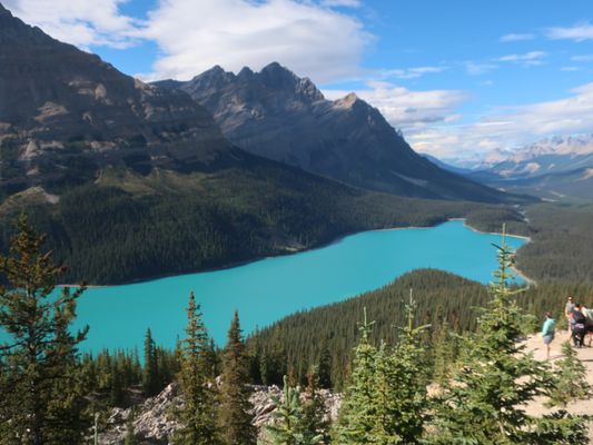 Peyto Lake by null