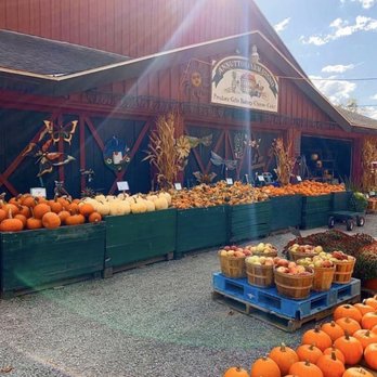Annutto's Farm Stand - a variety of pumpkins - Fruits & Veggies Near Me - Oneonta, New York