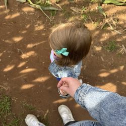 Foster Family Farm