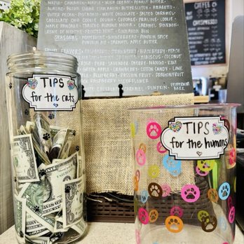 Cattfeinated Cat Cafe - Many tips for cats and zero tips for humans - Cafes Near Me - Greensburg, Pennsylvania