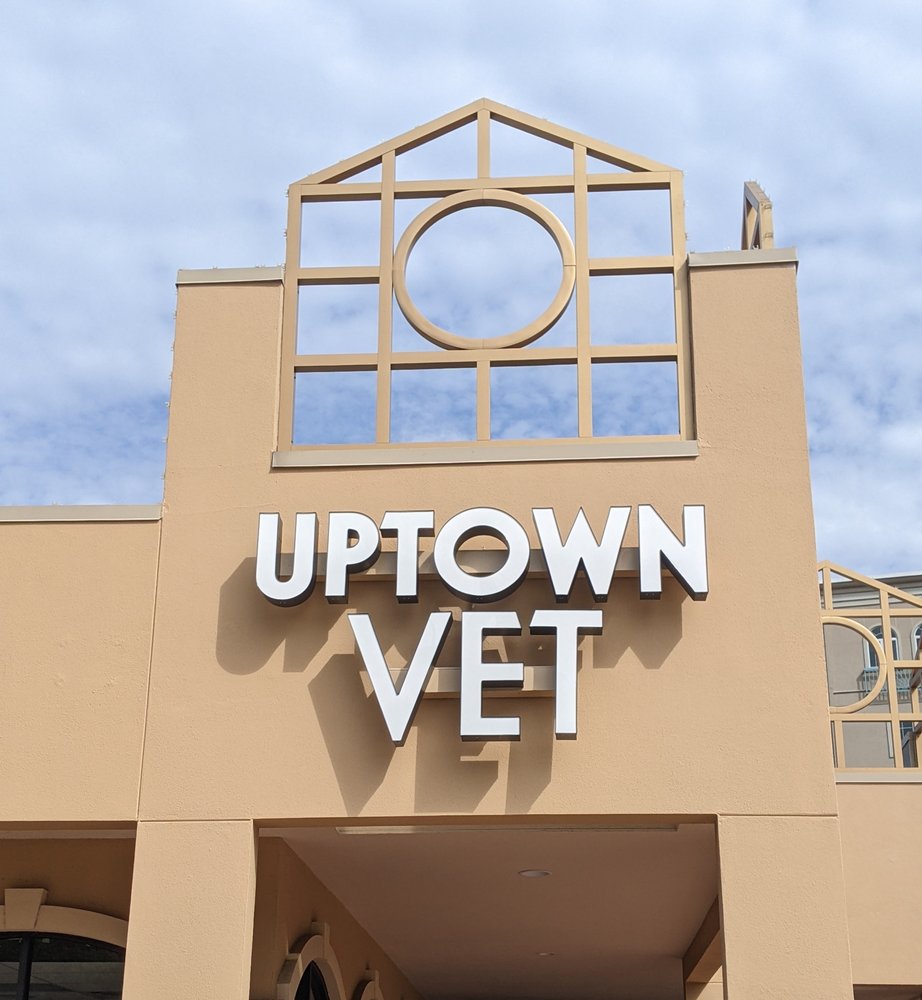 TAHL P ROZYCKI , DVM Updated June 2024 5750 Woodway, Houston, Texas