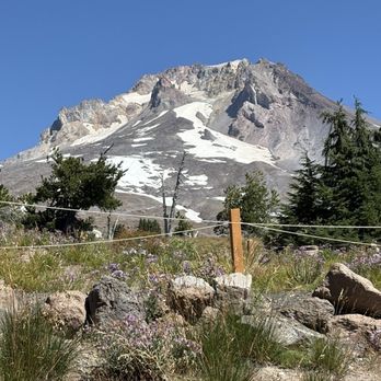 Timberline Lodge - Ski Resorts Near Me - Government Camp, Oregon Timberline Lodge - Ski Resorts Near Me - Government Camp, Oregon