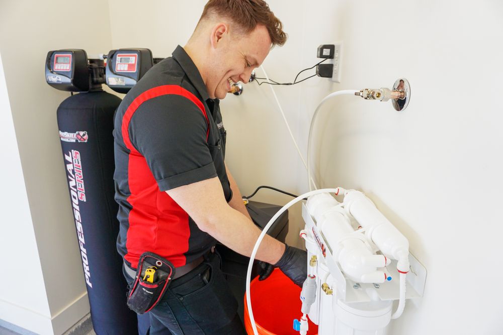 Slide of ProSkill Services