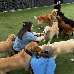 Rowdy Ruff House - Pup cup party