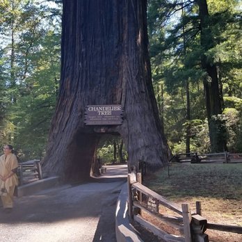 Drive-Thru Tree - Parks Near Me - Leggett, California Drive-Thru Tree - Parks Near Me - Leggett, California