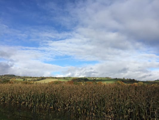 Llangoed Hall Hotel by null