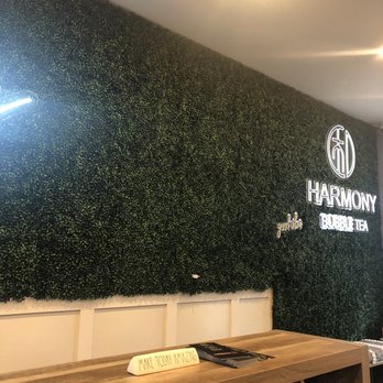 Harmony Tea Shoppe - Ramen Near Me - Indianapolis, Indiana
