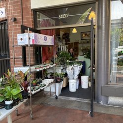 Moe's Flowers