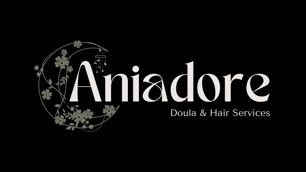 Aniadore Logo