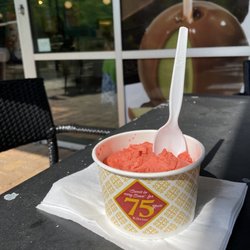 Kilwins Ice Cream - Chocolate - Fudge - Dairy free option. Raspberry sorbetto