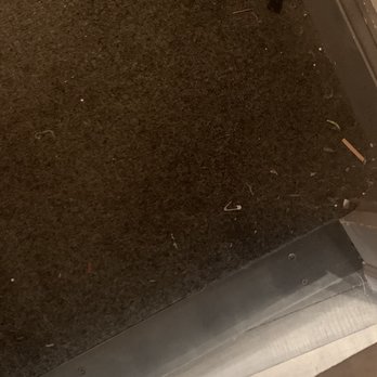 Urban Outfitters - Safety pin number two, plus random debris. - Women's Clothing Near Me - Walnut Creek, California Urban Outfitters - Safety pin number two, plus random debris. - Women's Clothing Near Me - Walnut Creek, California