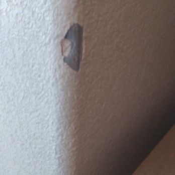 Elite Flooring Plus - totally knocked the plaster off the wall. - Building Supplies Near Me - Las Vegas, Nevada Elite Flooring Plus - totally knocked the plaster off the wall. - Building Supplies Near Me - Las Vegas, Nevada