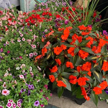 America's Wholesale Outlet - Outdoors - Offerings vary by the season, but we always have something good to make your outdoors look great! - Wholesale Stores Near Me - Boardman, Ohio