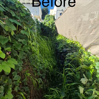 Rodriguez Gardening Services - Gardeners Near Me Rodriguez Gardening Services - Gardeners Near Me