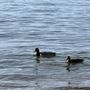 Photo of Lakeside Beach