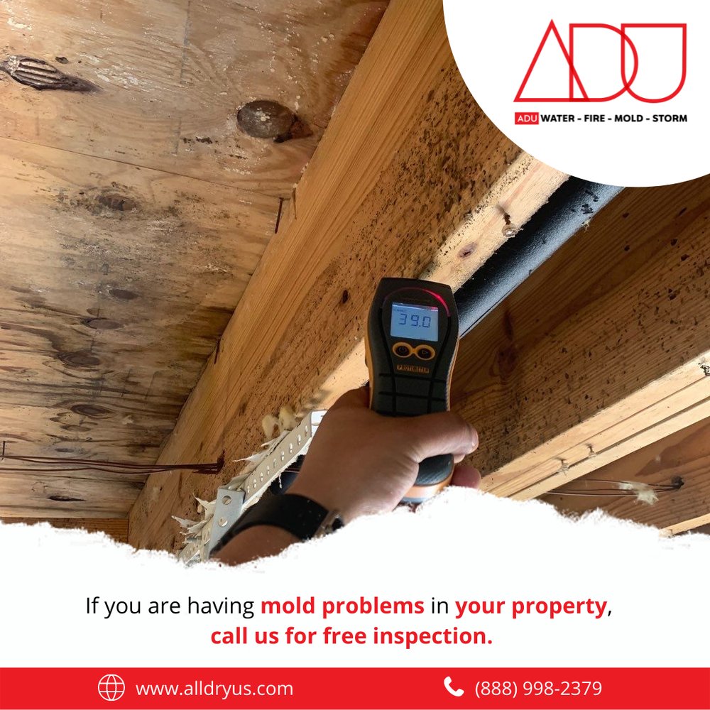 Slide of ADU Water Fire Mold Storm