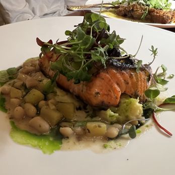 Capriciano Osteria - Salmon - Italian Near Me - Santa Rosa, California Capriciano Osteria - Salmon - Italian Near Me - Santa Rosa, California