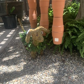 Roger's Gardens - Plant puppy - Nurseries & Gardening Near Me - Corona Del Mar, California