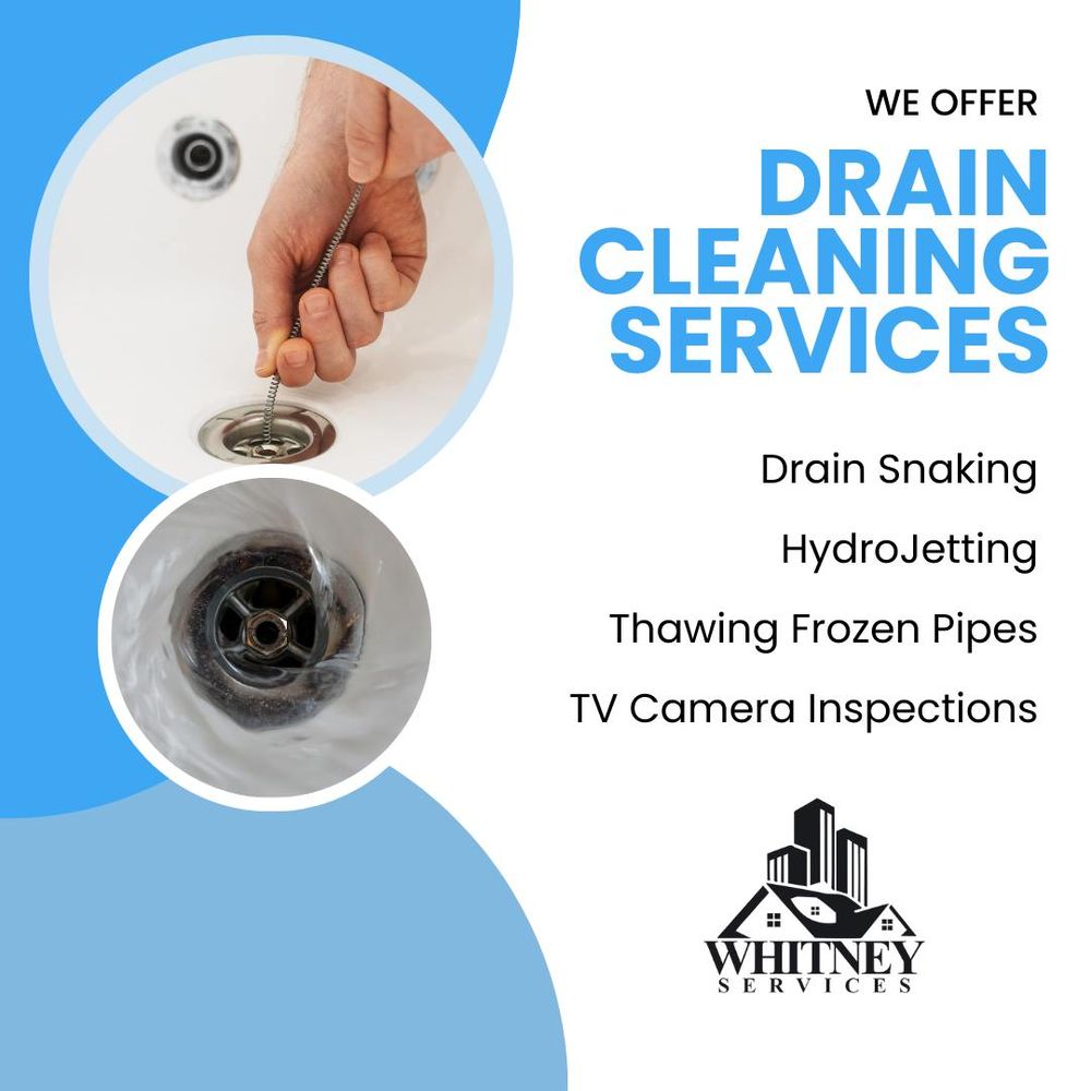 Slide of Whitney Services