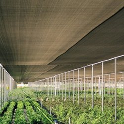 Island Grower Supplies - We Build Greenhouses, this is a shade house.